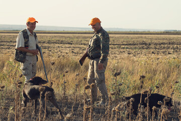 Duck hunters with shotgun walking through a meadow.