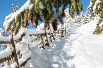 Winterwanderweg im tief verscheiten Zillertal in Tirol