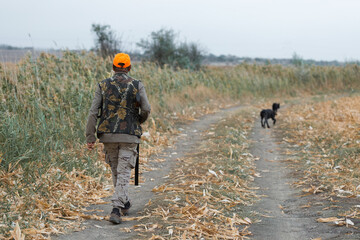 Duck hunter with shotgun walking through a meadow. .Rear view of a man with a weapon in his hands.