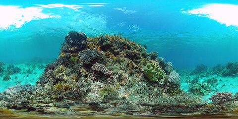 Tropical fishes and coral reef at diving. Beautiful underwater world with corals and fish. Panglao, Philippines. 360 VR foto.