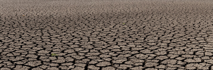 Earth cracked because of drought. The global shortage of water on the planet. Global warming concept. Dry cracks in the land.