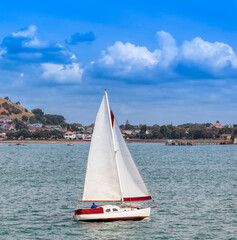 Sailboat in front of  Auckland, North Island, New Zealand