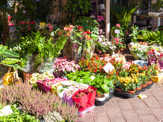Flowers at a french flower market