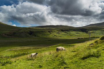 Fototapeta premium Fairy Castle, Skye Island, Scotland