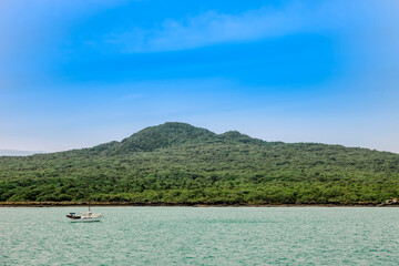 Rangitoto Island with sailboat in New Zealand