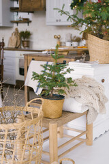 A Christmas tree in a wicker vase stands on a wooden bench in the dining room in the house