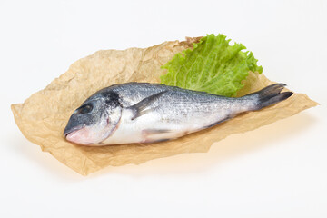 Raw Dorada fish  for cooking