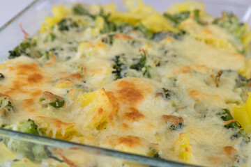vegetarian food baked in a casserole