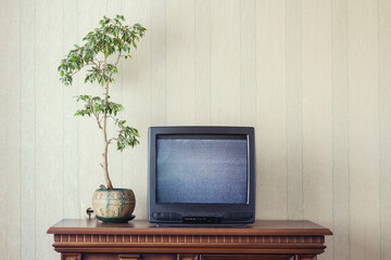 vintage old tv screen with bad snowy signal stands on wooden table with flowerpot in room