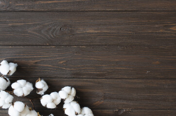Obraz na płótnie Canvas Cotton flower branch on brown wooden background. Cozy autumn and organic lifestyle concept.