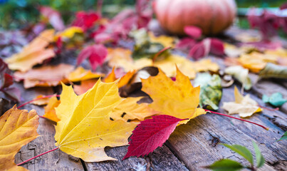 Autumn maple leaf with wooden table background