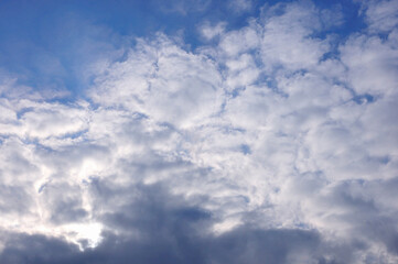 雲