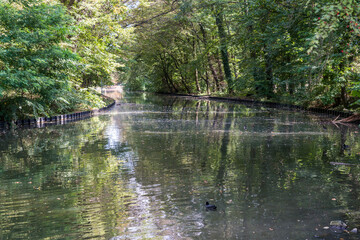urban park in cologne city forest