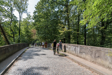 Fototapeta premium urban park in cologne city forest