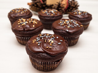 Chocolate cupcakes