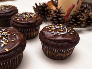 Chocolate cupcakes