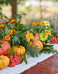 Table setting with beautiful autumn decorand with basket mini pumpkins and rowan branches for Thanksgiving Day or Halloween