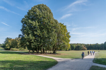 urban park in cologne city forest