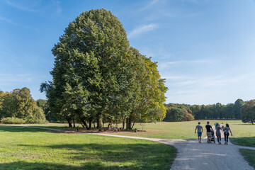 urban park in cologne city forest