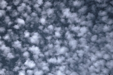 Mackerel sky: altocumulus 
