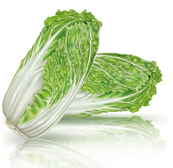 Chinese Cabbage on a white background