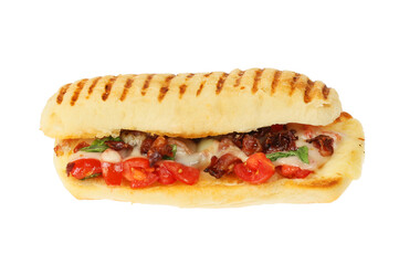 Panini against white