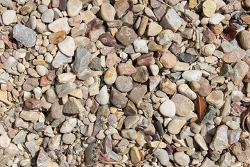 Soil full of stones of different sizes and colors with remains of leaves, branches, and dirt from the beach. Texture background.