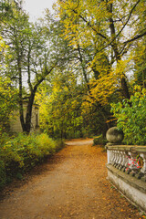 Naklejka premium Autumn in the park.