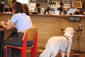 woman with dog in cafe