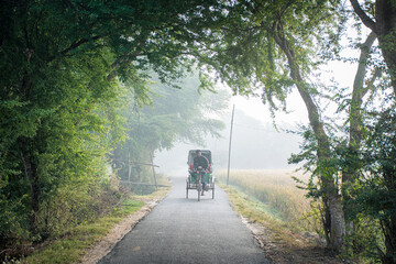 Obraz premium Rickshaw on village road