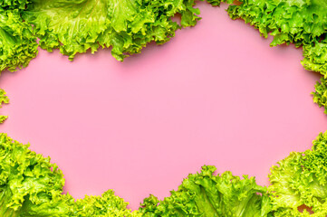 Frame made of Fresh green lettuce leaves on bright pink background flat lay top view. Creative background with salad, healthy vegetarian food, eco products, vegetable, diet, vitamins. Food concept