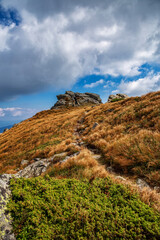 Beautiful landscape in the high carpathians. autumn in the mountains.