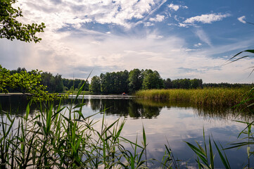Beautiful lake in the woods with pine trees on the shore for summer vacation. Travel to Ukraine.