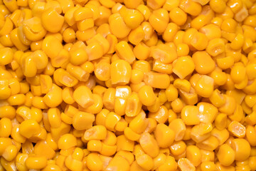 Closeup of lots of cooked corn kernels, close up of canned bio corn grain top view.