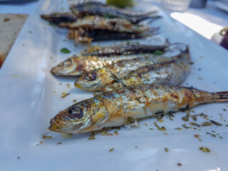 grilled sardines  on the table in  a plate  in Preveza
