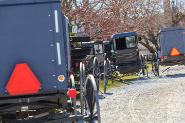 Parked Amish Buggies