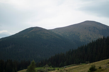 Mountain landscape, small houses and dense coniferous forests