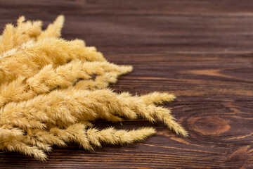 Spikelets on a wooden background. Place for an inscription. View from above.