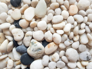 Fototapeta na wymiar A mixture of white pebbles and black pebbles. Background of pebbles