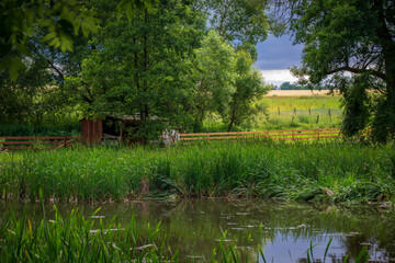 Fototapeta na wymiar Pond at Tercino valley, Czech republic