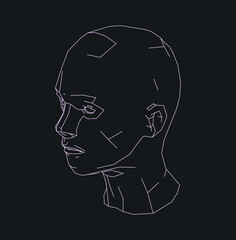 Low poly 3D head, human face structure made of grid. Biometrics, Facial Recognition and Cyber Security concept.