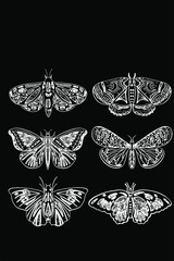 Vector illustration, hand-drawn butterflies. Abstract mystical sign.Sky patterns in the style of old engravings. Vector set of sacred geometric and natural symbols on a black background. Abstract coll