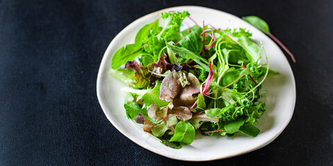 healthy salad lettuce and vegetables organic ingredients vitamins cook a snack meal on the table tasty serving size portion top view copy space for text food background rustic keto or paleo diet