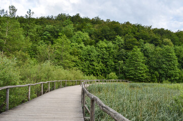 Fototapeta na wymiar Plitvice Lakes National Park - Hike in The Trail Around The Lakes 
