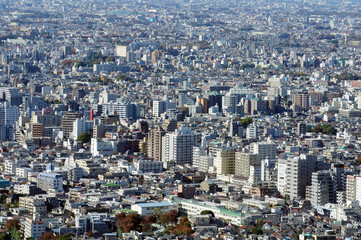 Fototapeta premium 東京の街並み