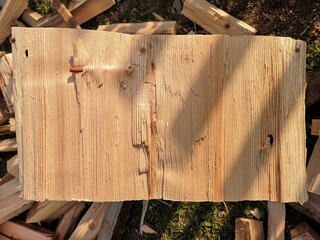 the tree is split. the texture of the wood