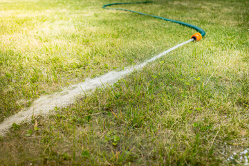 Fototapeta premium hose with water jet/hose with water jet on the green grass