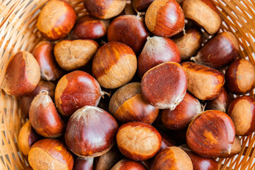 Castañas de temporada de Otoño