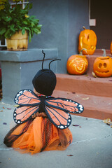 small child in butterfly costume near jack-o-lanterns