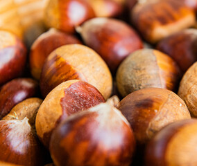 Castañas de temporada de Otoño
